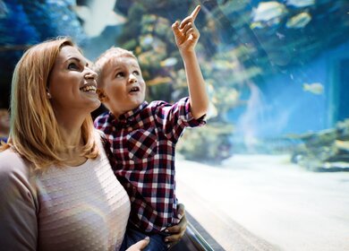 Mutter und Sohn betrachten Meerestiere im Ozeanarium  | © Gettyimages.com/nd3000