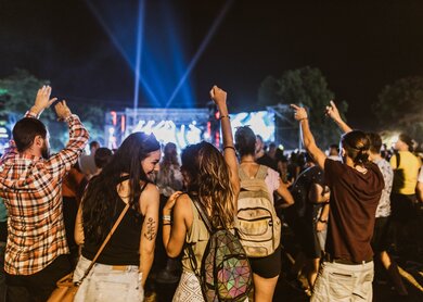 Rückansicht von glücklichen Freundinnen, die sich während des Musikkonzerts bei Nacht unterhalten. | © Gettyimages.com/skynesher