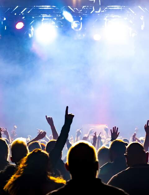 Menschenmenge, die in einem Konzert tanzt | © Gettyimages.com/dwphotos