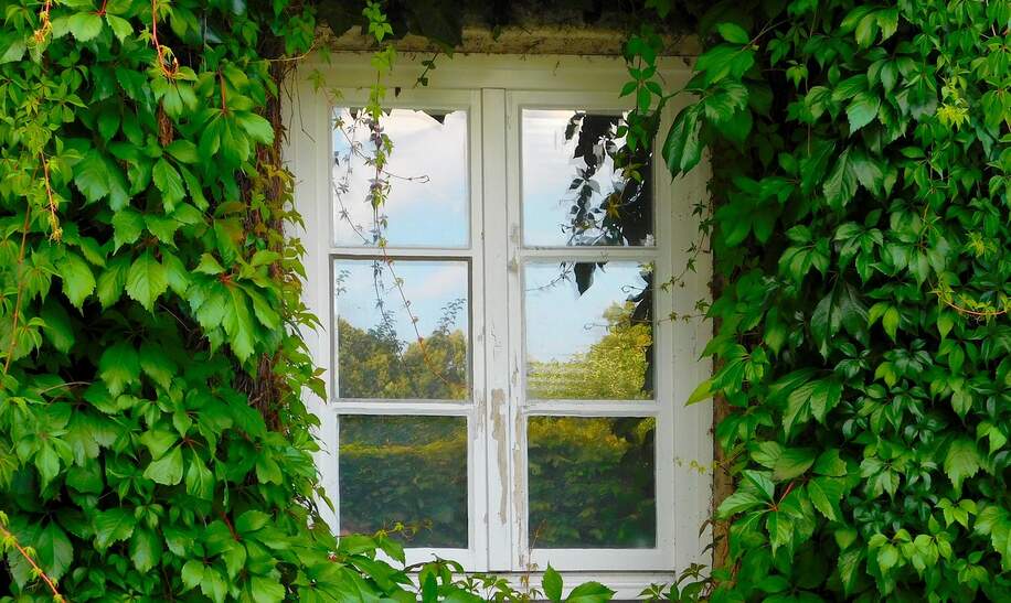 Fenster an einem begrüntem Haus | © Pixabay.com/AngelikaGraczyk