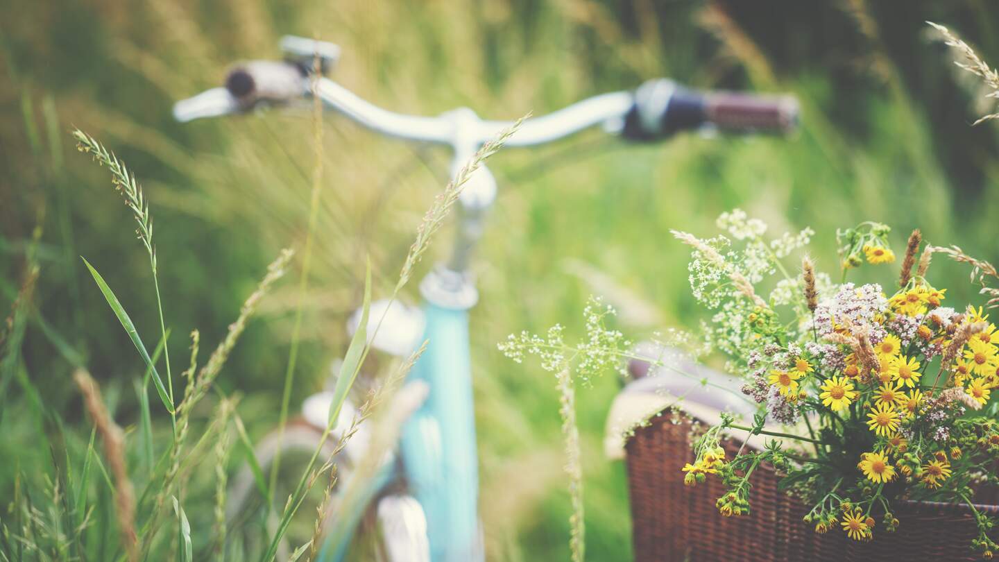Blauer Fahrradlenker und ein Korb mit Blumen auf dem Gepäckträger vor einer Wiese | © gettyimages.com/Rike