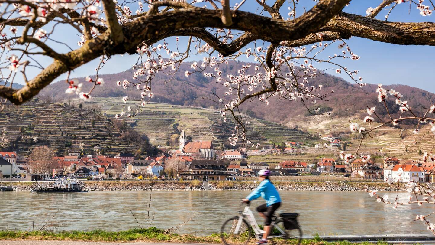 Radfahrer am Ufer der Donau mit dem Ort Spitz in der Wachau im Hintergrund  | © Gettyimages.com