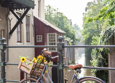 Blaues Hollandrad mit Fahrradkorb und Sonnenblumen am Lenker auf einer Brücke in s-Hertogenbosch | © carindeben.nl 