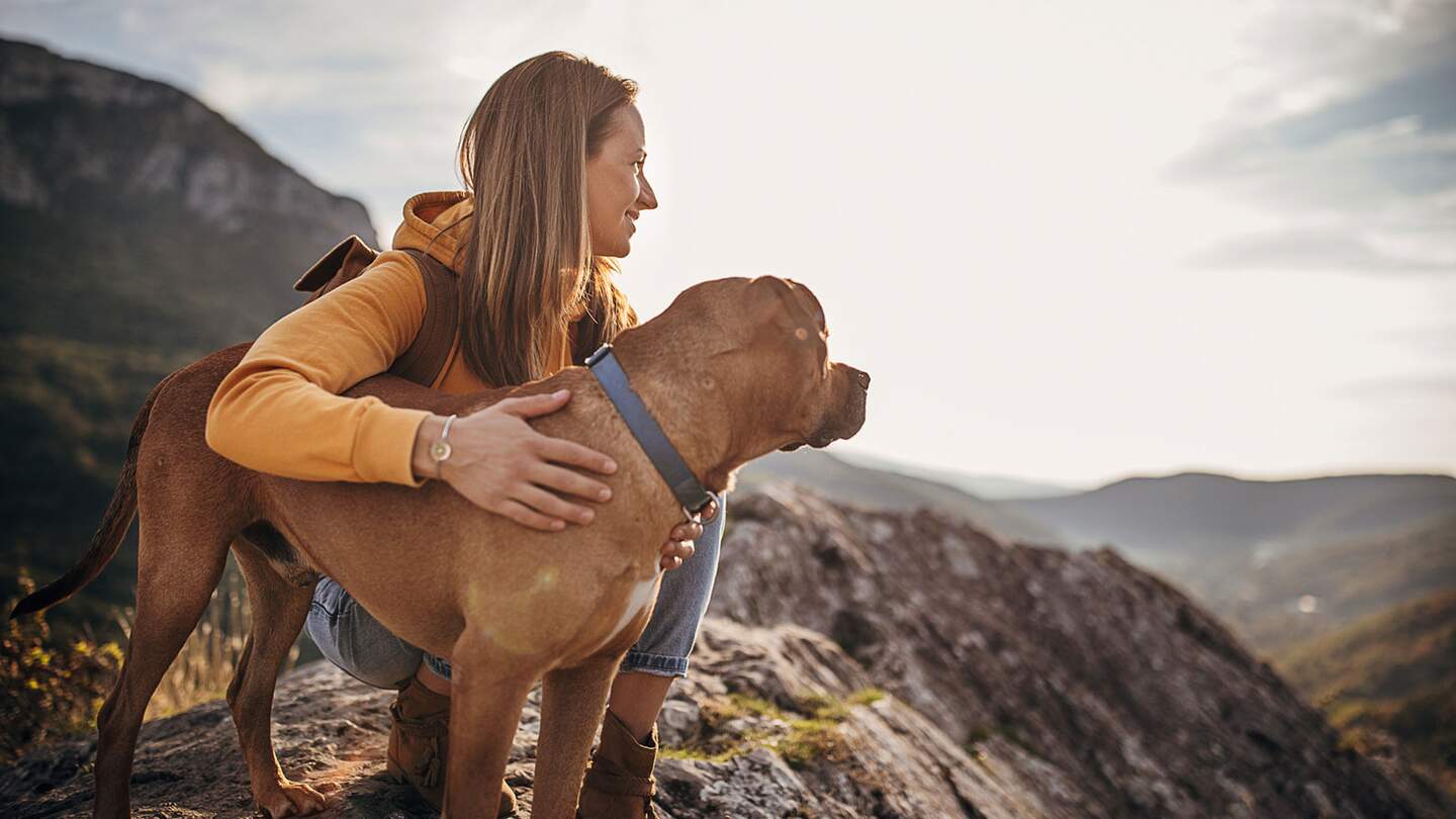Eine Frau, eine Wanderin und ihr Hund an einem sonnigen Tag auf dem Berggipfel | © gettyimages.com/south_agency