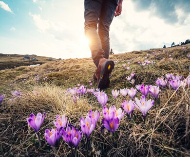 Frau wandert in den Bergen ueber Blumenwiese | © Gettyimages.com/borchee