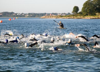 Mehrere Triathlet Schwimmer im Wasser  | © Gettyimages.com/TarpMagnus
