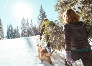 Ein junges Paar und ein Hund, die einen geschnittene Weihnachtsbaum durch den tiefen Schnee in einer Berglandschaft tragen | © gettyimages.com/JeremyPoland