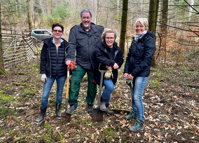 Hessen Forst 3 | © Ameropa-Reisen GmbH